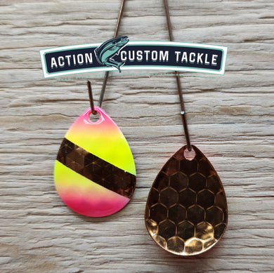 3.5 Colorado copper back, Dalia