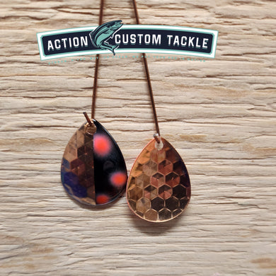 3.5 Colorado, copper back,  Black Stinkbug