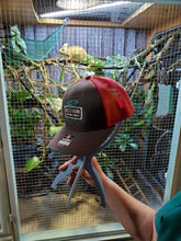 Load image into Gallery viewer, Ball cap hat, mesh