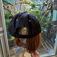 Load image into Gallery viewer, Ball cap hat, solid