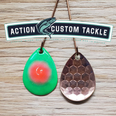 3.5 Colorado copper back, Coquille