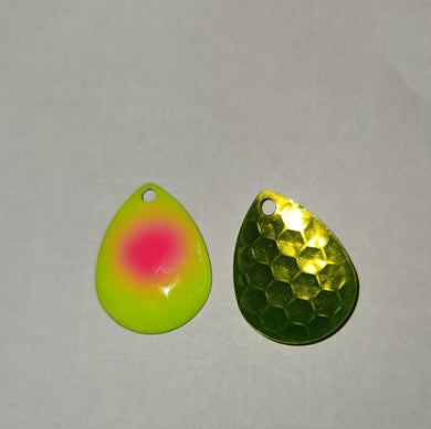 3.5 Colorado pink dot