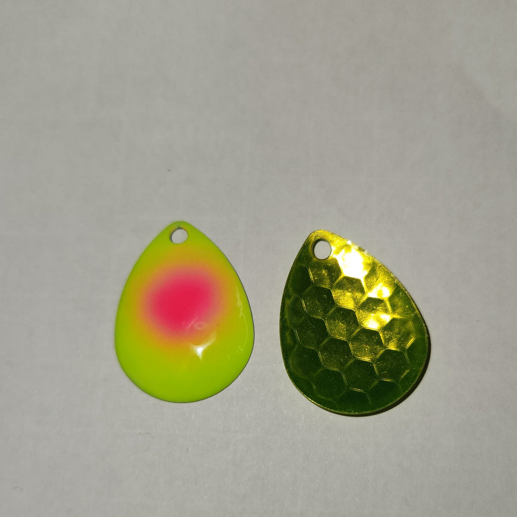 3.5 Colorado pink dot